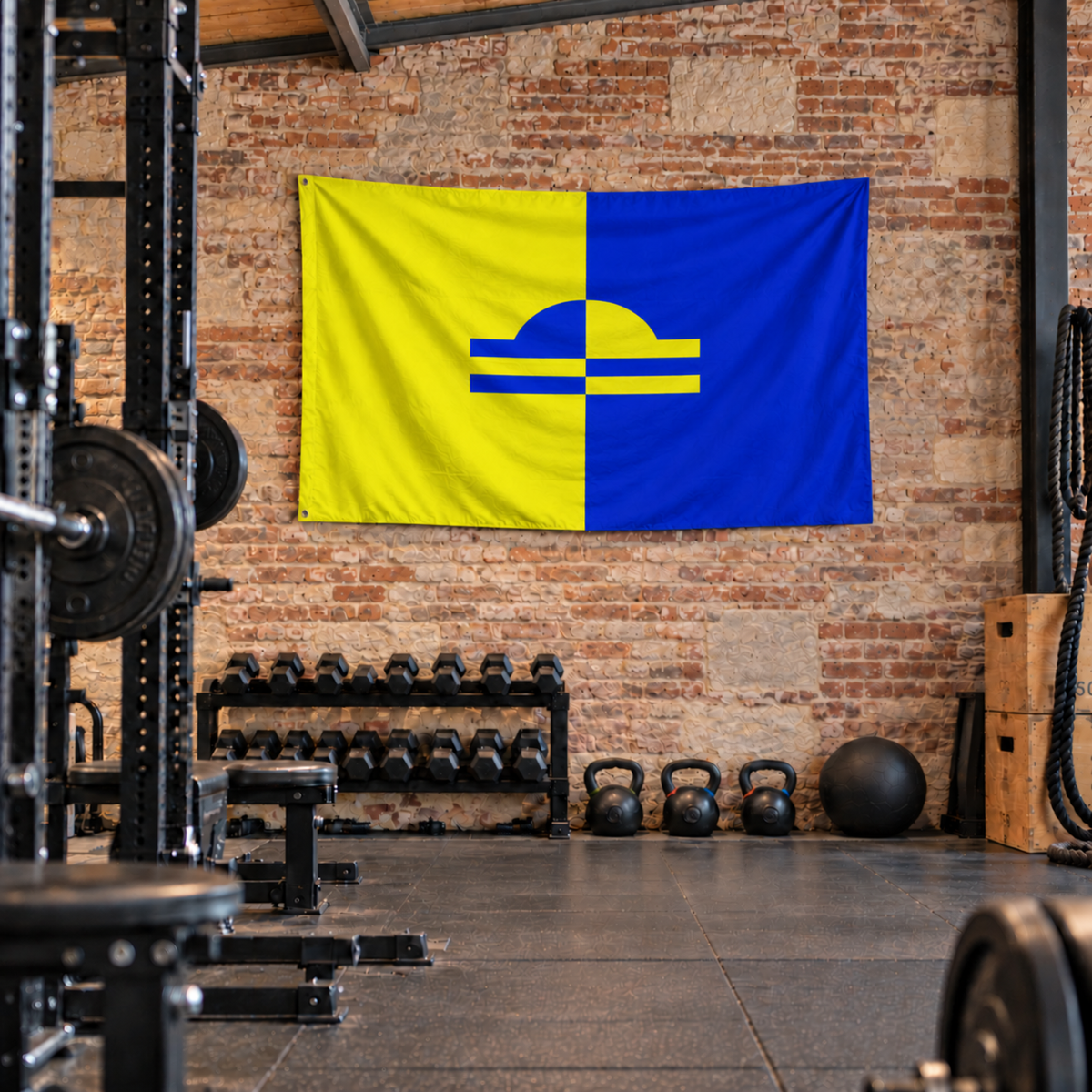 Vlag van de gemeente Ede