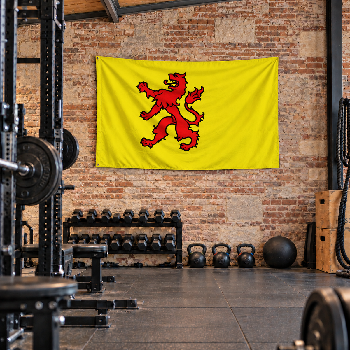 Vlag van Zuid-Holland