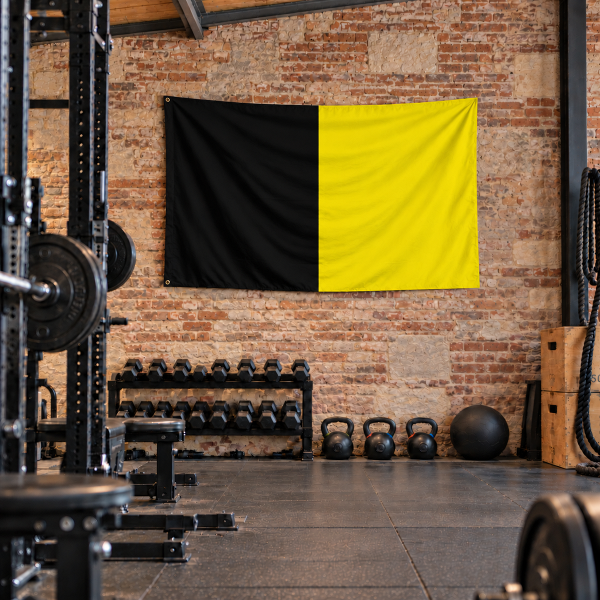 Vlag van Sneek