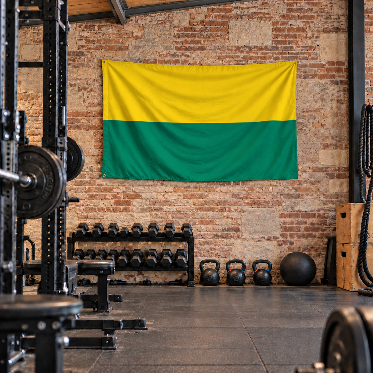 Vlag van Den Haag
