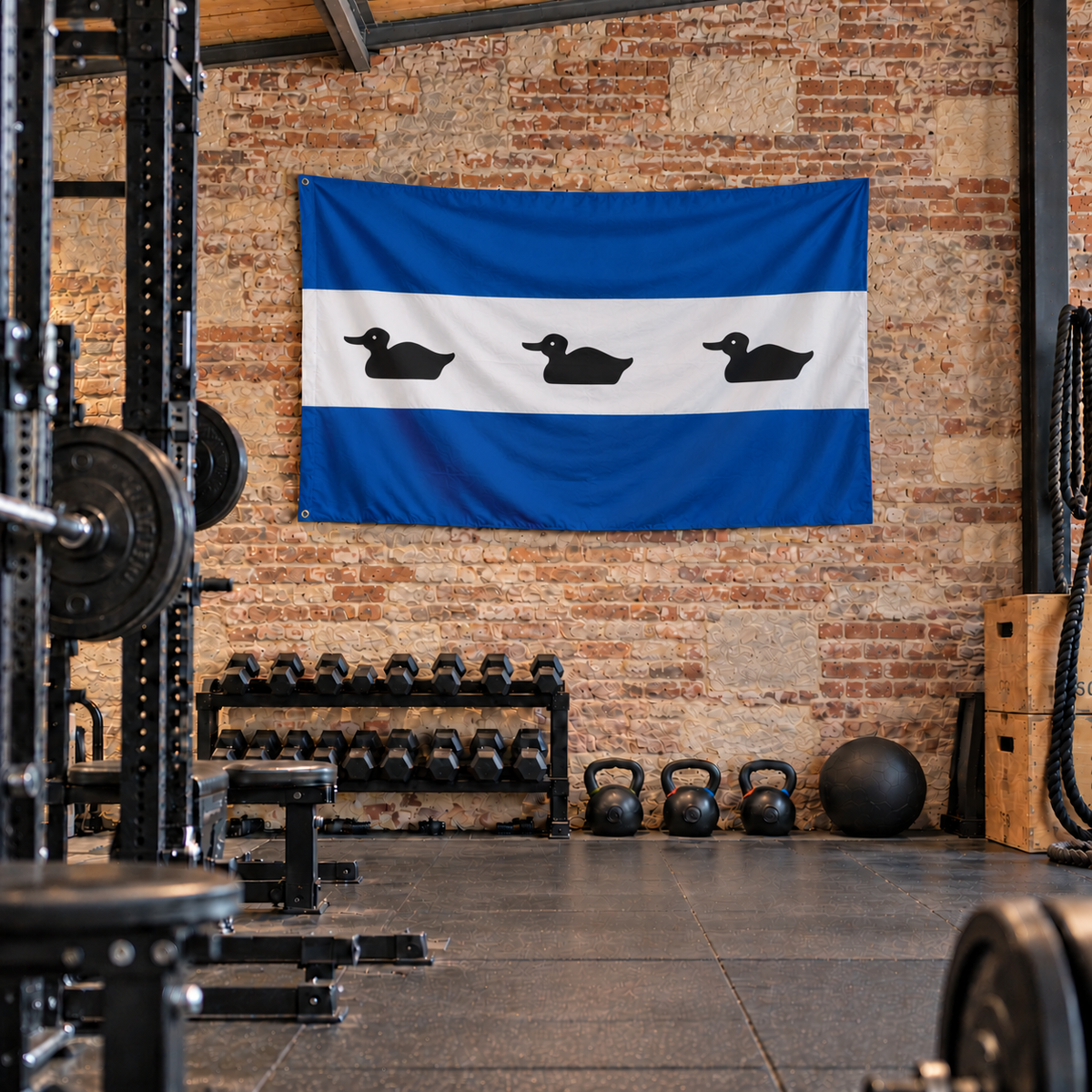 Vlag van Diemen