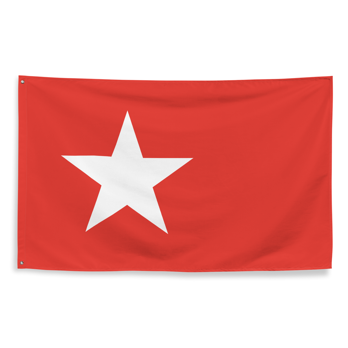 Vlag van Maastricht
