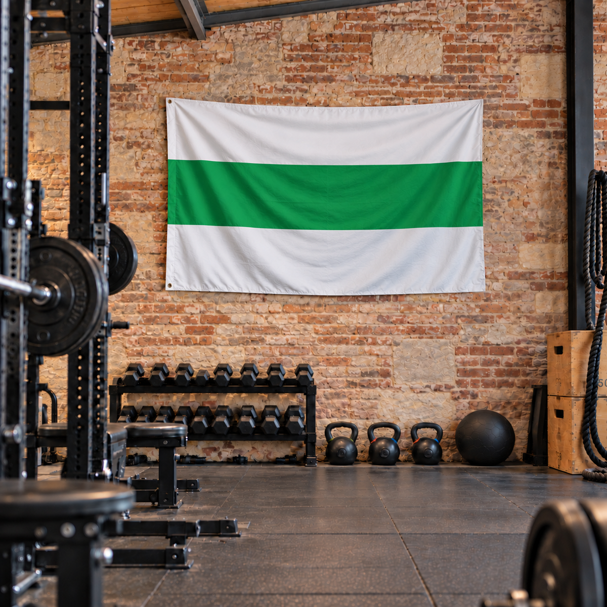 Vlag van Groningen